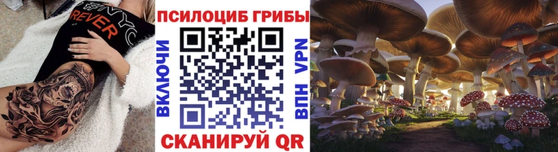 hydra ТОР  Ардатов  Псилоцибиновые грибы Psilocybe 