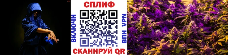 Бошки марихуана ГИДРОПОН Ардатов